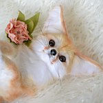 设计师品牌 - MoonFoxToys