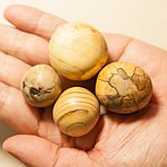 设计师品牌 - Mushroom Village