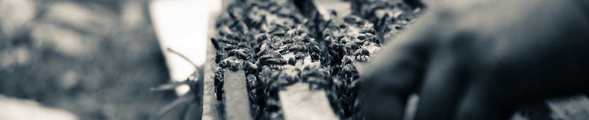 三草二木 San Cao Er Mu