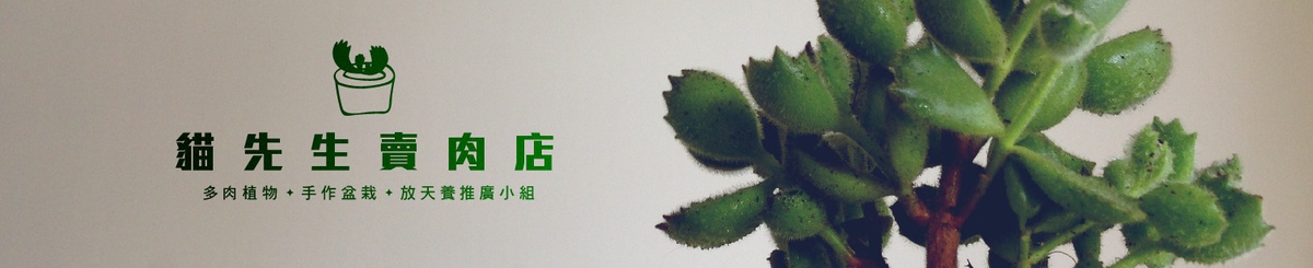 设计师品牌 - 猫先生卖肉店