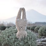 设计师品牌 - nemnim