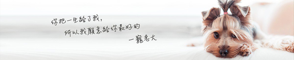 设计师品牌 - 宠老大Petboss