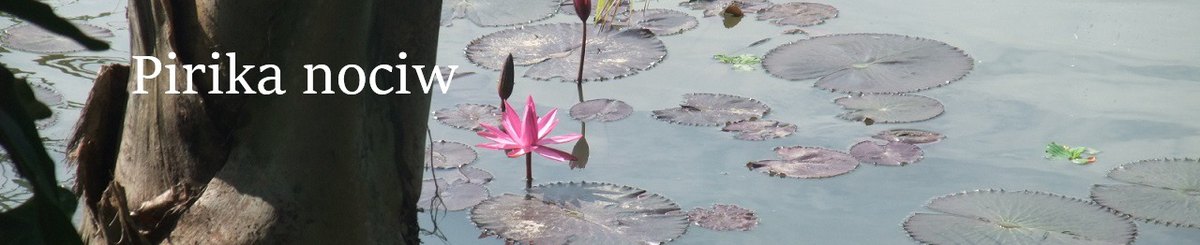 设计师品牌 - Pirika nociw