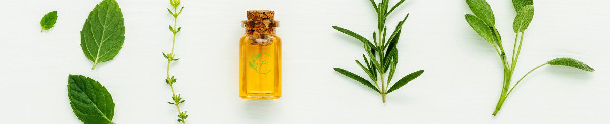 设计师品牌 - PiWa森林系能量疗愈