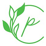 设计师品牌 - PiWa森林系能量疗愈