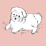 设计师品牌 - poti