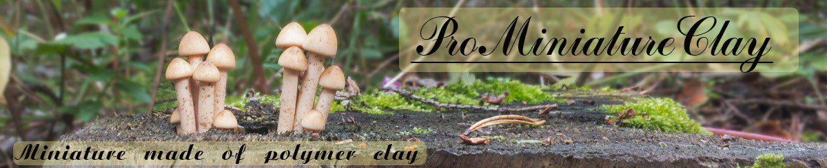 设计师品牌 - ProMiniatureClay