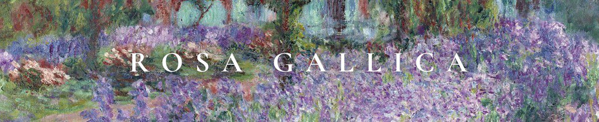Rosa gallica | 编织珠宝饰品订制