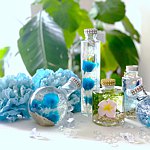 设计师品牌 - salonderose