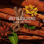 设计师品牌 - Siam Obchoei