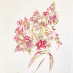 设计师品牌 - simasimanekoko