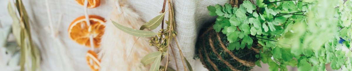 设计师品牌 - Green・绿色花艺设计