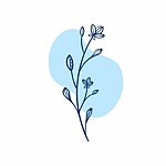 设计师品牌 - skybluee