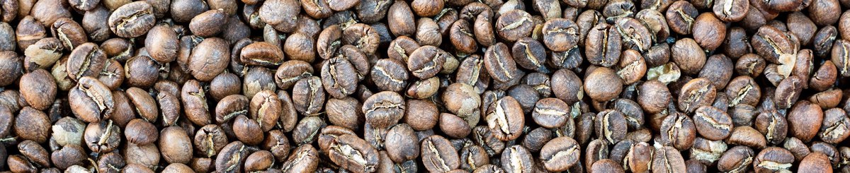 设计师品牌 - SomniCoffee