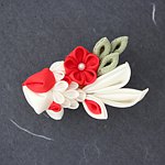 soranokagami