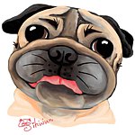SihWun's Pug World 巴哥犬世界
