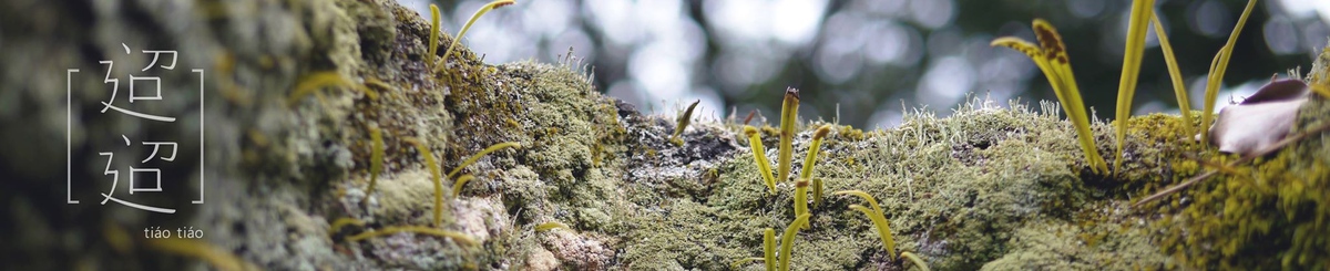 设计师品牌 - 迢迢 tiao tiao