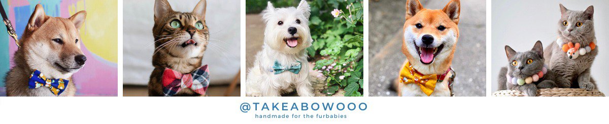 设计师品牌 - Take A Bow