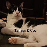 设计师品牌 - Tamjai & Co.