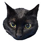 塔塔猫手作
