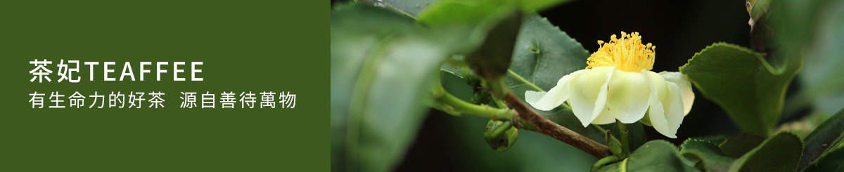 设计师品牌 - 茶妃 TEAFFEE