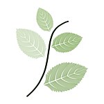 设计师品牌 - thebabemuse