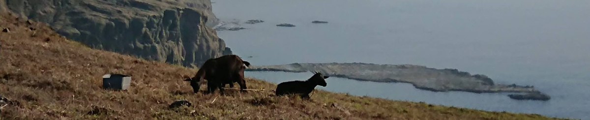 设计师品牌 - 思旅