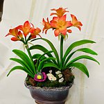 设计师品牌 - Tina’s 手创馆