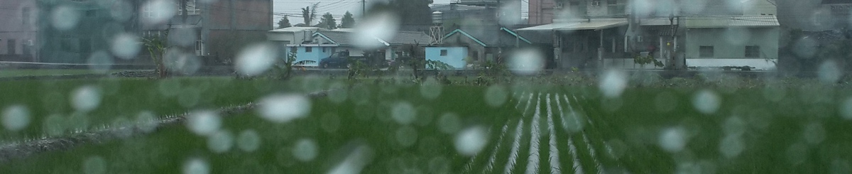 设计师品牌 - 停雨工作室tingyustudio