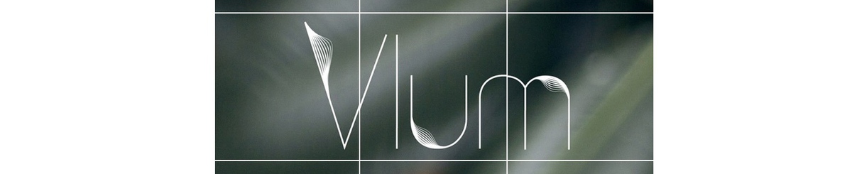 Vlum Jewelry