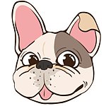 汪来汪趣 wdog