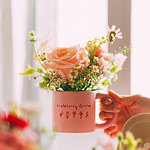 设计师品牌 - 野棉花房 Wild Anemonee