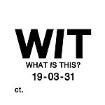 设计师品牌 - wit-whatisthis