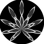 设计师品牌 - Wizpipes