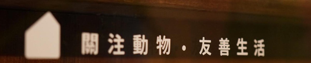 设计师品牌 - 窝窝 Wuowuo