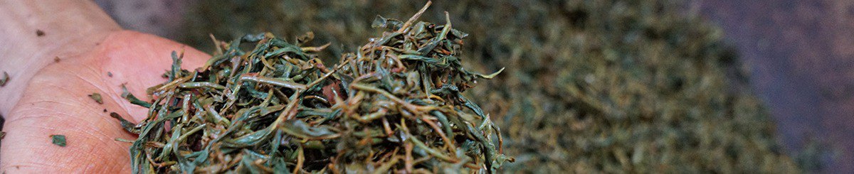 设计师品牌 - 乙今作茶