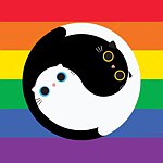 yinyangthecat