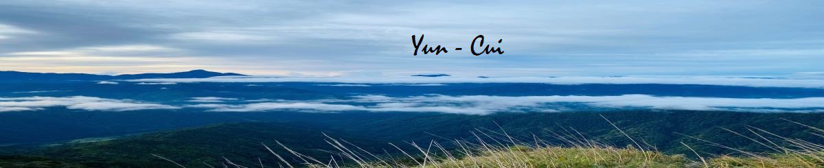 设计师品牌 - 芸翠