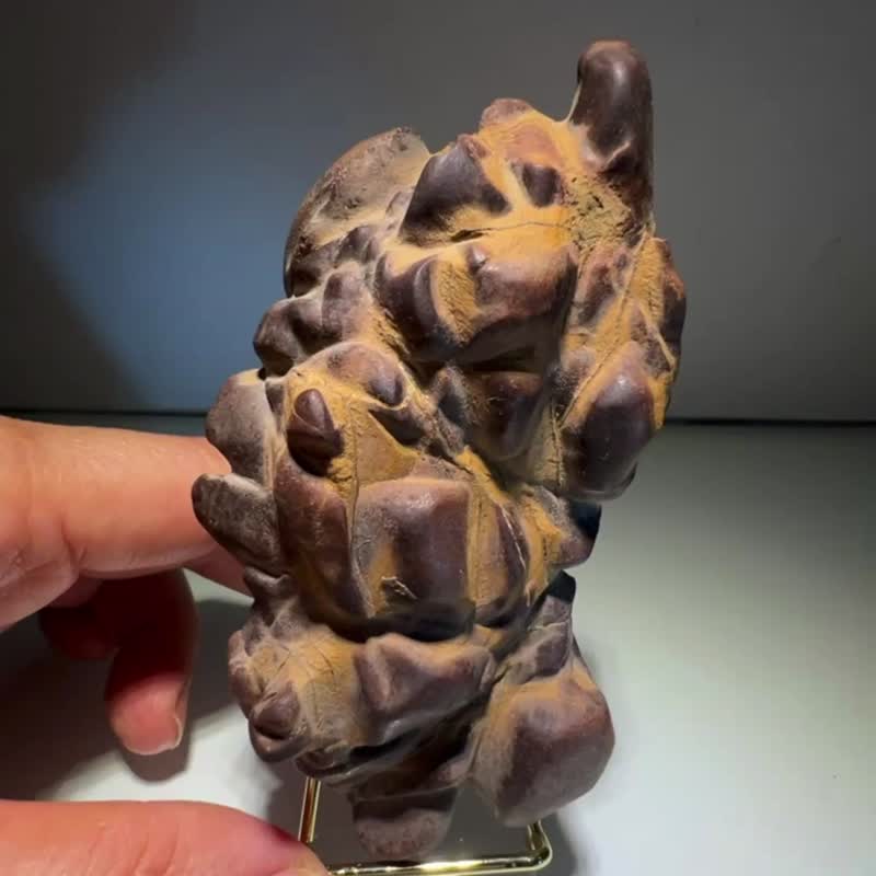 台湾 天然龟甲石 带皮黄龟甲石 349公克 雅石 奇石 观赏石 艺术 - 摆饰 - 石头 金色