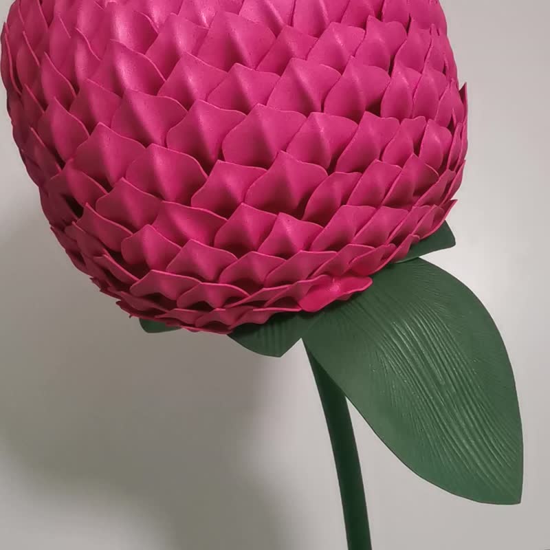 巨型浆果色的花朵。苋菜。超大的粉红色花朵。展示鲜花 - 植栽 - 其他材质 