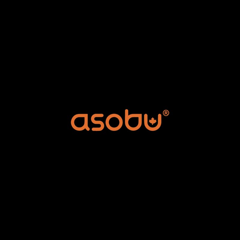 加拿大Asobu 463ML保温水樽BEASTIE系列- 小熊猫 - 水瓶/水壶 - 不锈钢 白色