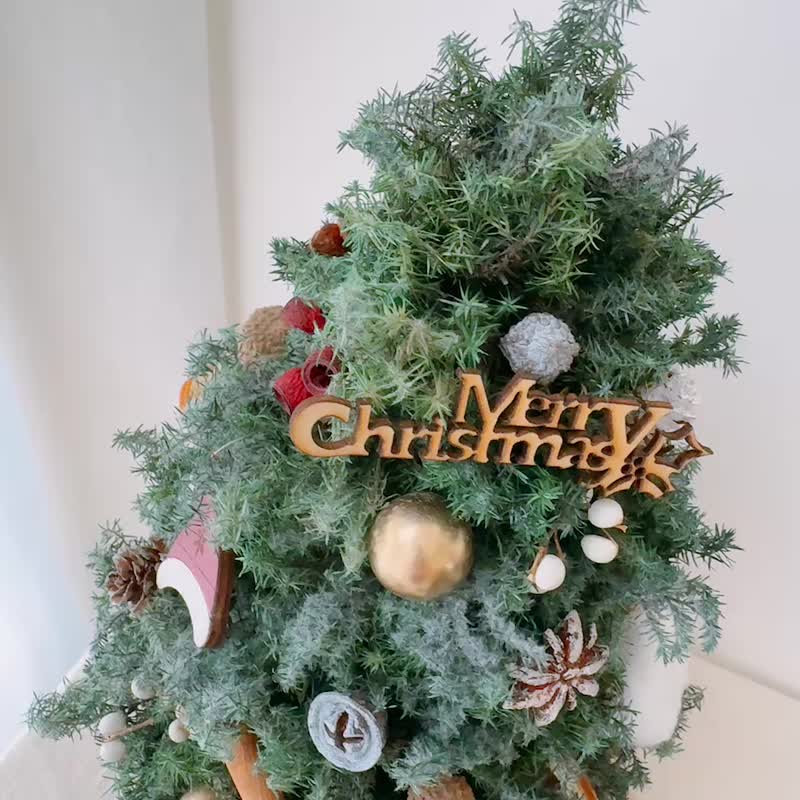 永生雪松圣诞树 圣诞节 永生花 - 干燥花/捧花 - 植物．花 