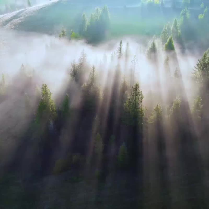 Douce Nature地恩 滚珠体香剂-敏弱肌适用 50ml - 其他 - 其他材质 