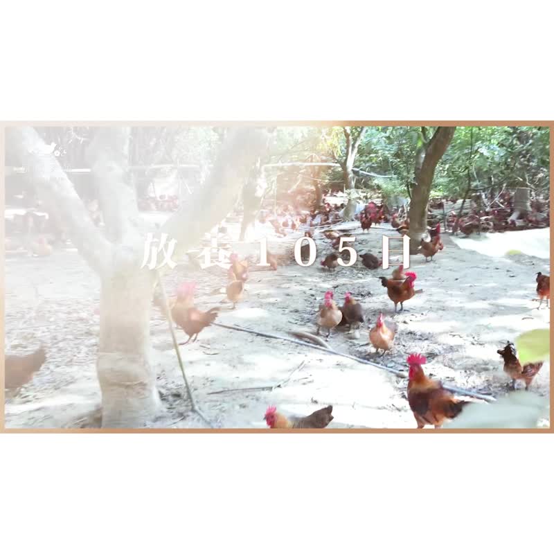 【快速出货】冷冻 | 美颜滴鸡精3入 / 65ml 孕妇送礼 养生保健 - 健康/养生 - 浓缩/萃取物 白色