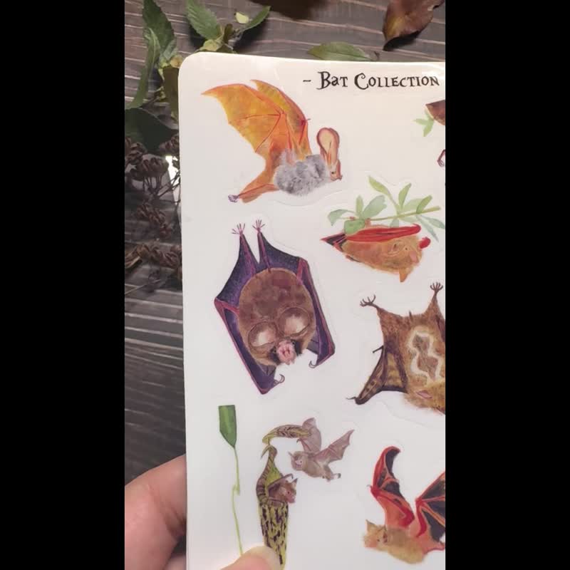 【蝙蝠贴纸小全张】一组共8款 外国蝙蝠+台湾特有种 万圣节贴纸 - 贴纸 - 防水材质 