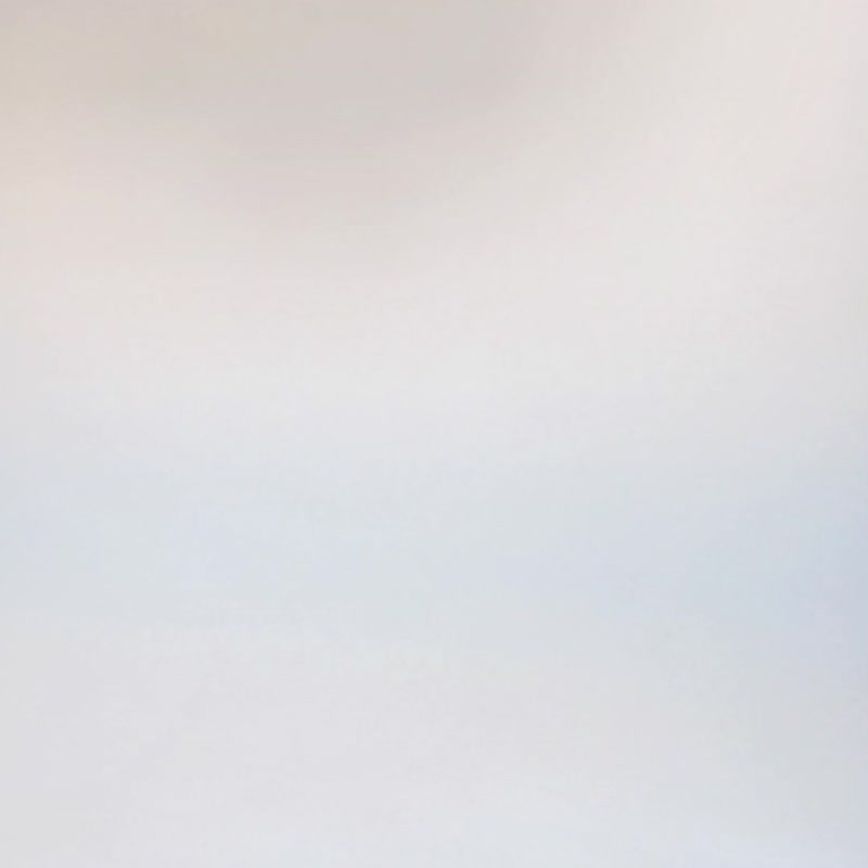 棉花动物园周末很忙猫狗双全原创卡通动物新疆棉纯棉中筒袜 - 袜子 - 棉．麻 多色