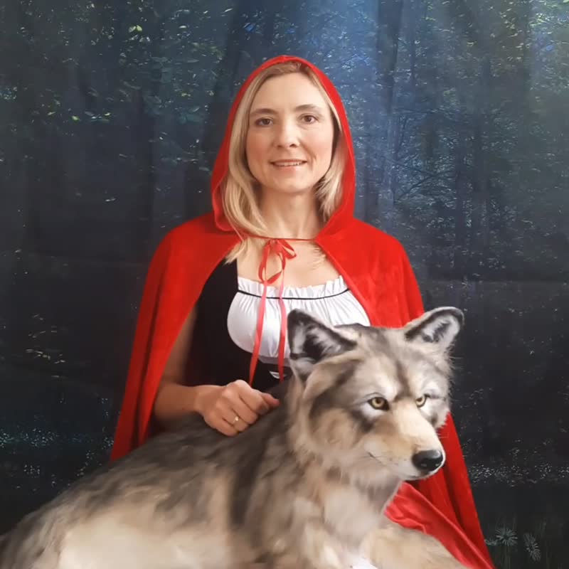 Wolf realistic plush toy. Animals replicas. Wolf stuffed toy - 玩偶/公仔 - 其他材质 灰色