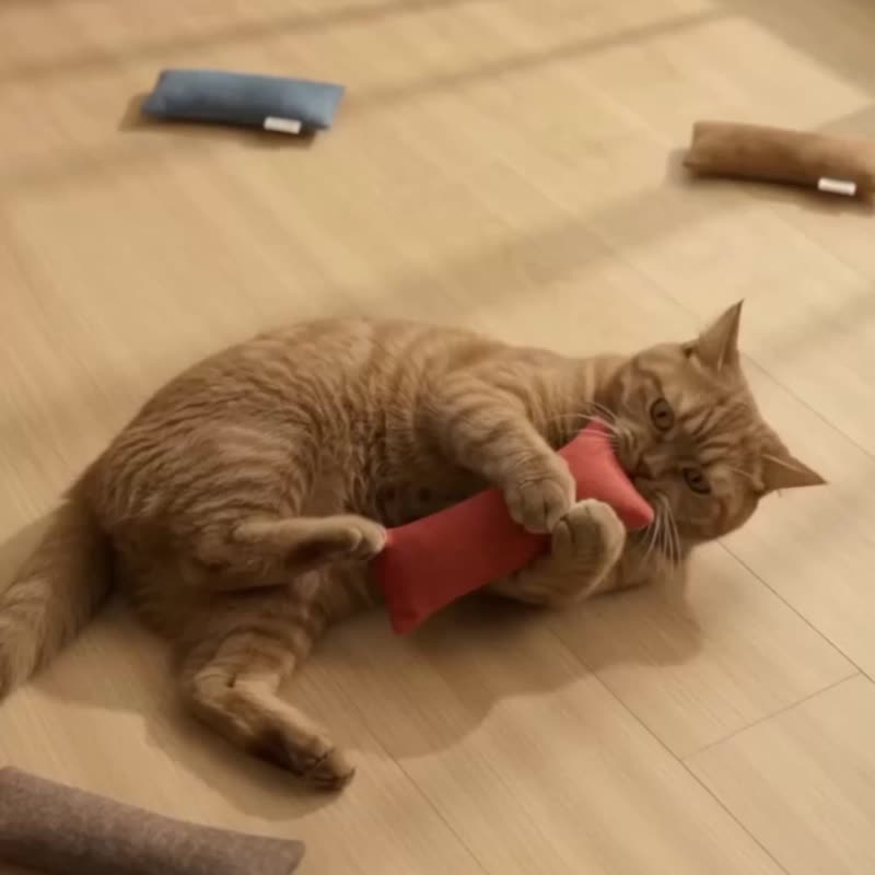 手工定制简约柔软猫咪薄荷棒 Organic Catnip Bolster Cat Toys - 玩具 - 棉．麻 多色