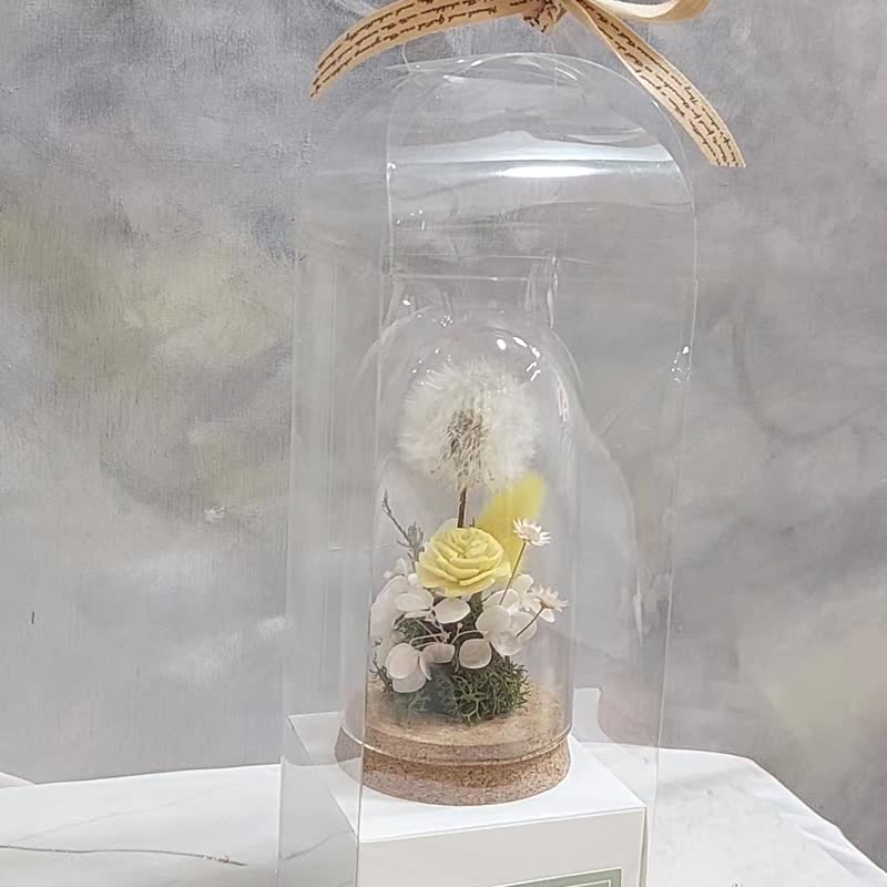 蒲公英永生花礼 毕业花礼 生日礼物 交换礼物 - 干燥花/捧花 - 植物．花 白色