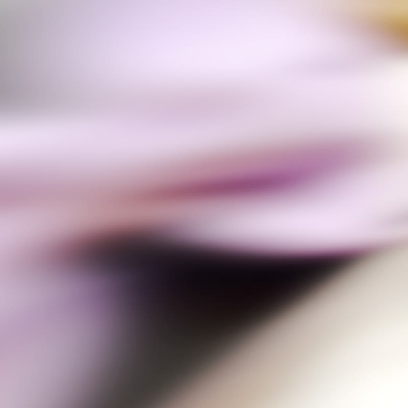 有钱花手工礼物盒│生日│母亲节│钞票花│永生花【紫色】 - 相簿/相册 - 纸 紫色